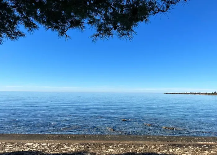 Nadija * Πόρετς